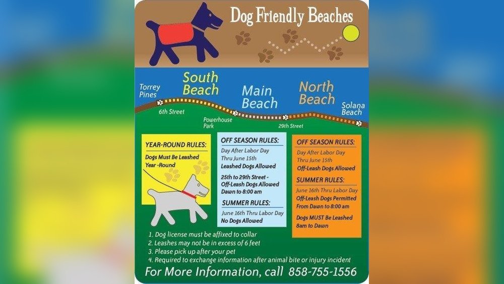 Off-Leash Dog Beach Etiquette (Ocean Beach Vs. Del Mar) in San Diego.