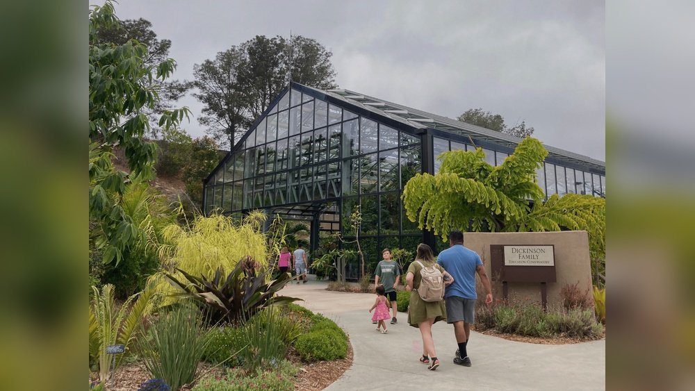 San Diego Botanical Gardens: Free Vs. Paid Tours