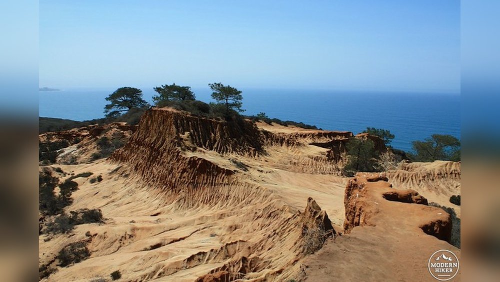 The "Broken Hill" Hike at Torrey Pines