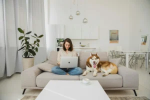 Digital Nomad Friendly Apartments in San Diego Monthly 
